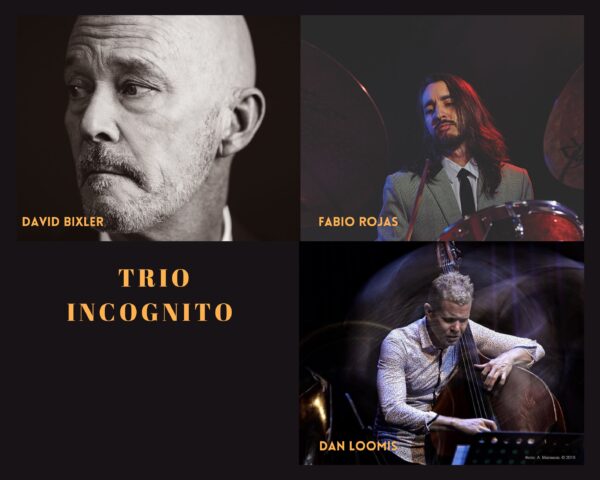 Sunday, March 16th:  Trio Incognito